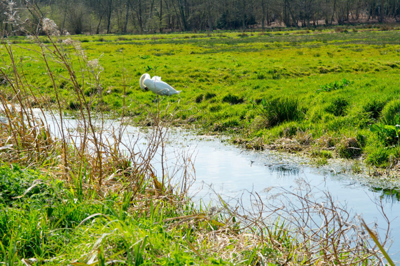 Worlingham Parish Council Worlingham Parish Council